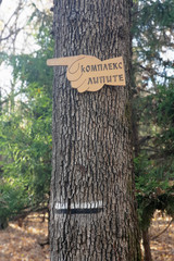 colorful sign of the tourist trail of the bark tree. Wooden sign in the forest.