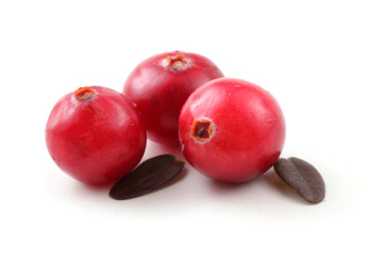 Three cranberries with leaves