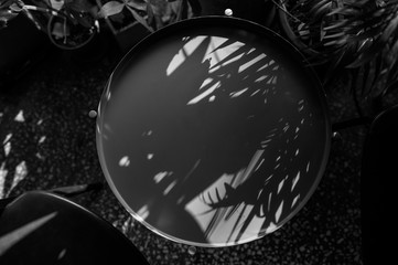 트로피칼 패턴의 식물 흑백 무드 