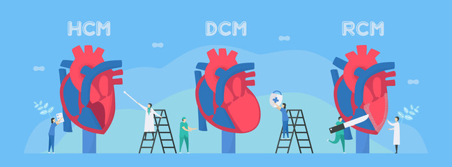 Fototapeta na wymiar Cardiology vector illustration. This diseases are HCM, DCM, and RCM. Ability of blood pumping is decreased. CM means cardiomyopathy. Diagnostic and analysis. Flat tiny character style.