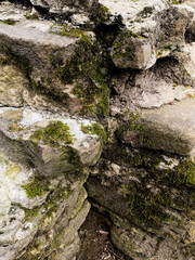 Background of brick wall texture old wall moss
