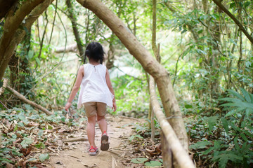 Naklejka na ściany i meble asian child cute or kid girl hiking or walking and trekking for exercise and holiday camping or vacation adventure travel on green nature forest to nang khruan waterfall in lam khong ngu national park