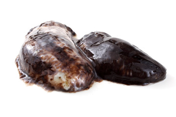 Sea cucumbers (cucumaria)