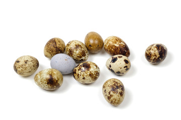 Obraz premium Spotted quail eggs on a white surface