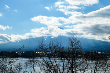 An idyllic view on Mt Fuji from the side of Kawaguchiko Lake, Japan, disturbed by tree branches. The mountain is surrounded by clouds. The top of the volcano is covered with snow. Calm lake's surface