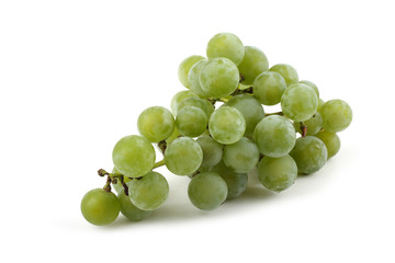 White wine grape