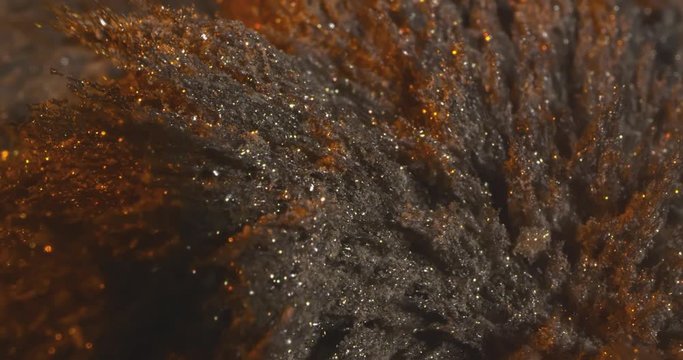 Motion Metallic Powder Under the Influence of a Magnetic Feld. Macro.
