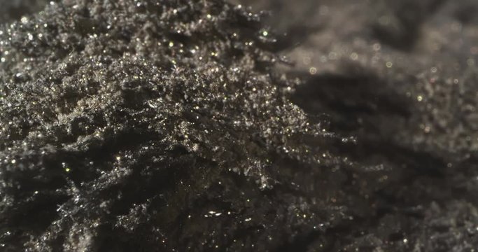 Motion Metallic Powder Under the Influence of a Magnetic Feld. Macro.