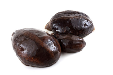 Three sea cucumbers (cucumaria)