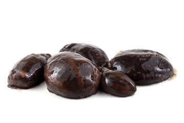 Sea cucumbers (cucumaria)
