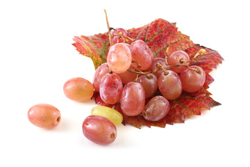 Pink grape on autumn leaf