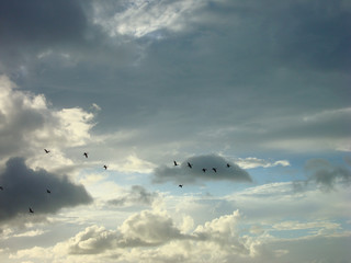 Sun shining and birds flying over a cloudy blue sky