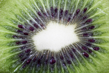 Half of kiwi background