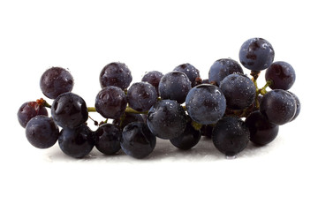 Black wine grape