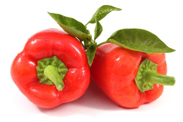 Two red peppers with leaves
