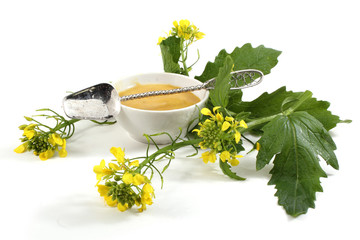 Mustard