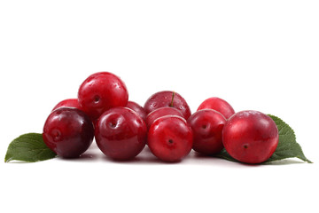 Red plums and leaves