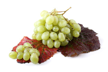 Grape on autumn leaves