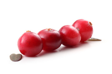 Cranberries and leaves