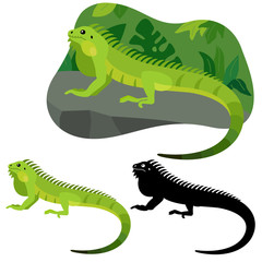 Iguana lizard lies on a stone against a background of tropical plants