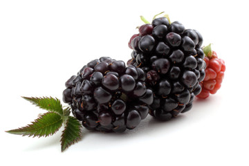 Blackberries and leaf