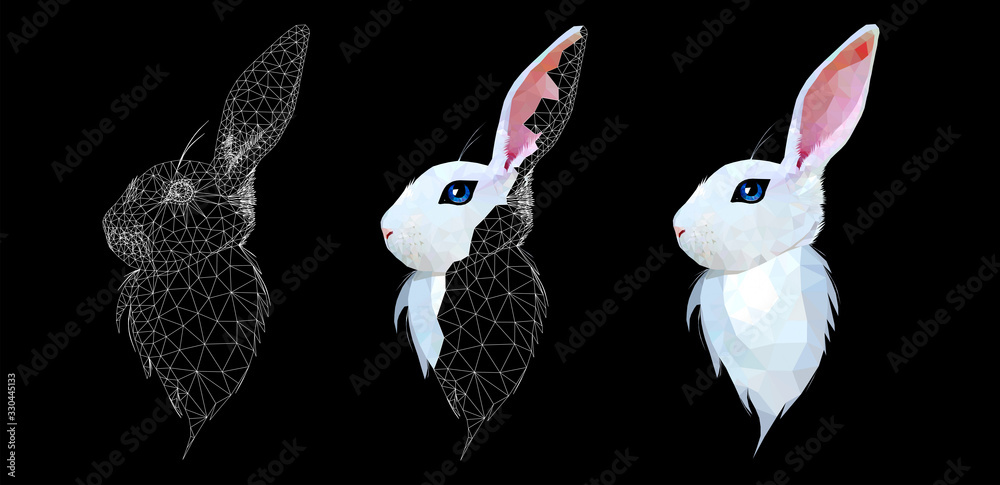 Wall mural white bunny profile low poly triangular vector illustration isolated on black. polygonal style trend