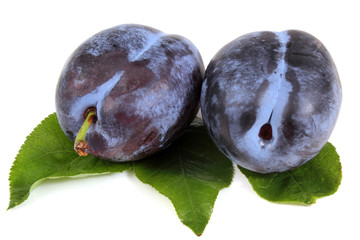 Two blue plums