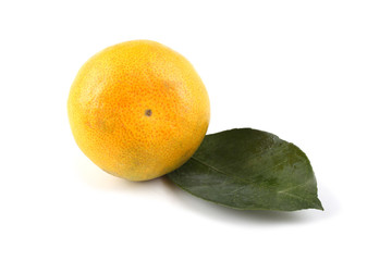 Mandarin orange and leaf