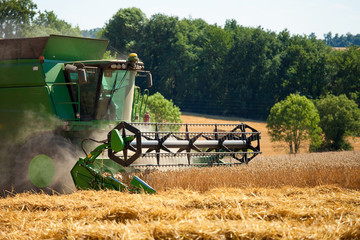 Moissonneuse batteuse au travail dans un champ de blé au moment des moissons.