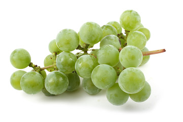 White wine grape