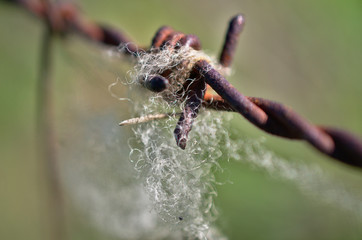 Limite, frontera,border