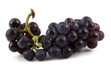Grape on autumn leaves