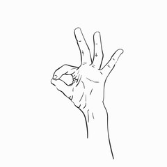 Hand showing Okay gesture, Vector sketch, Hand drawn illustration isolated
