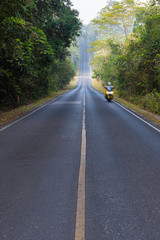 Fototapeta na wymiar A beautiful road in Khoa Yai National Park, Thailand