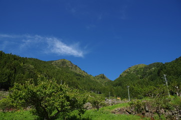 Fototapeta na wymiar 青空と山