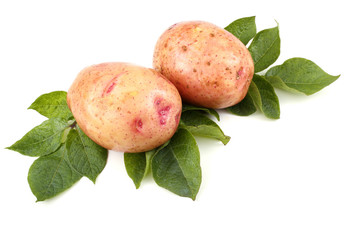 Pink potatoes on leaves