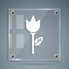 White Flower tulip icon isolated on grey background. Square glass panels. Vector Illustration