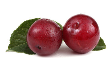Red plums and leaves