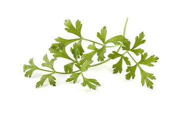 Parsley