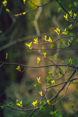 Nature beauty