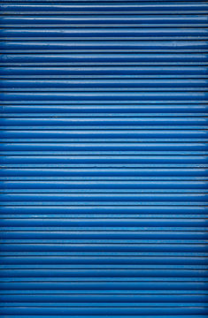 Blue roller dors seamless texture
