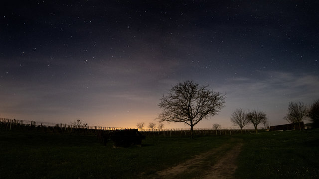 Clair de lune