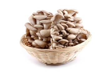Oyster mushrooms on wicker plate