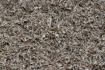 texture graphique support bois copeaux lame planche sciure minimalisme fond arrière-plan