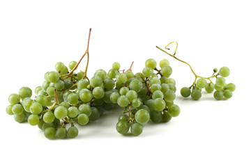 White wine grape
