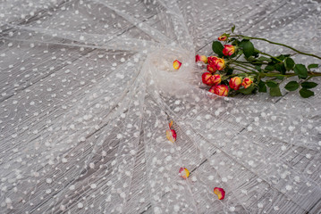 White wooden background with white spring flowers roses and lace ribbon. Happy womans day. The texture of lace on wooden background.