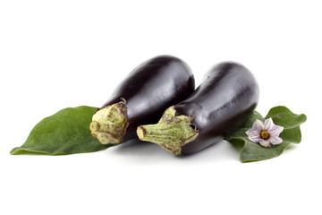 Two aubergines and flower on leaves