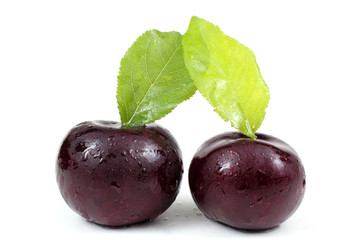 Two violet plums with leaves
