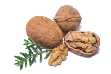 nuts dried fruits isolated on white