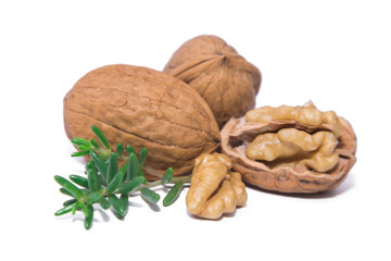 nuts dried fruits isolated on white